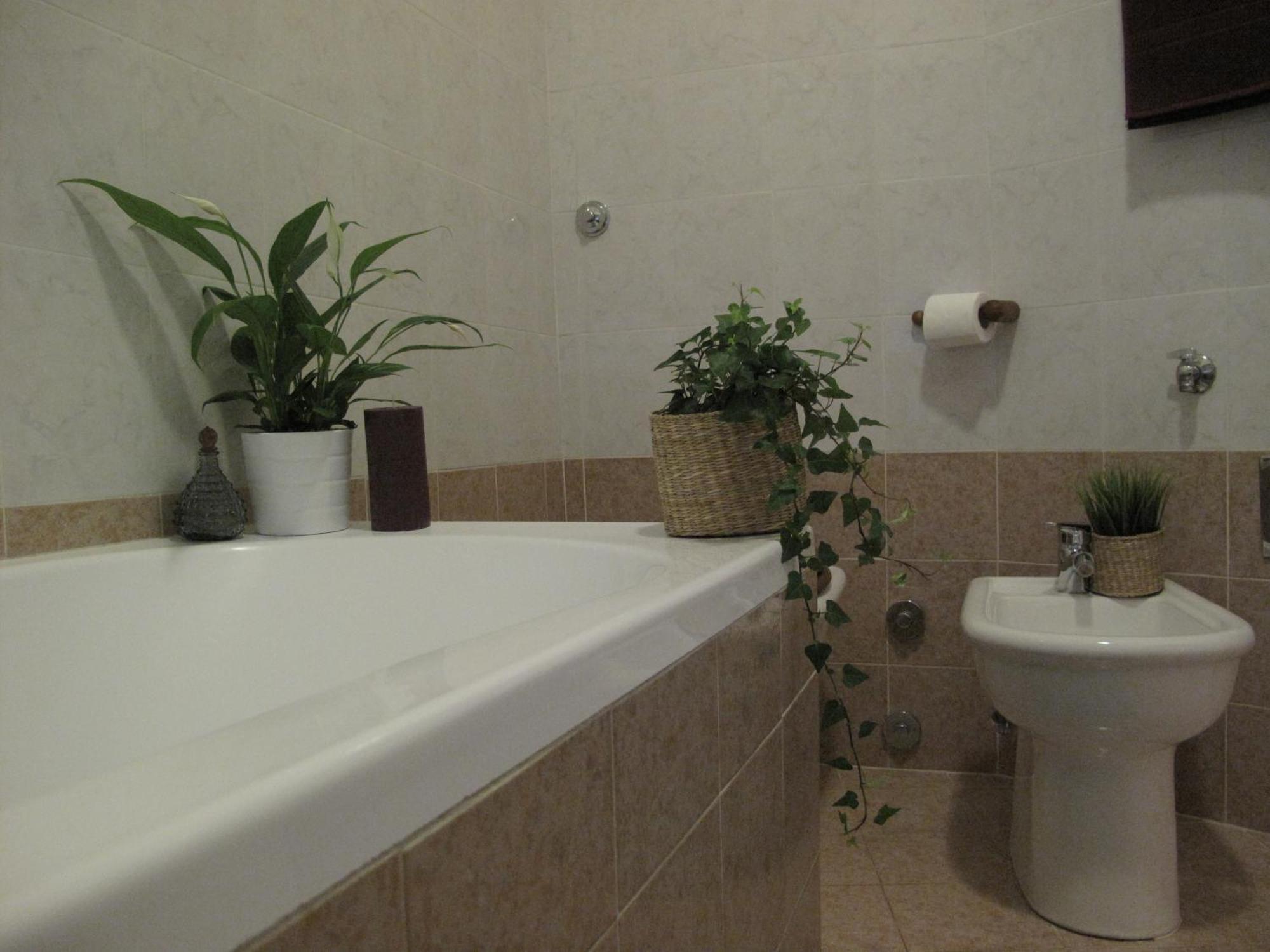 Quadruple Room with Balcony,721072333:JPEG