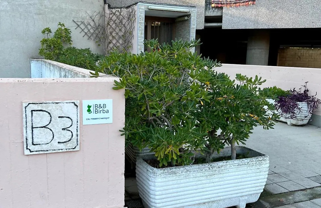 B&B Birba-1