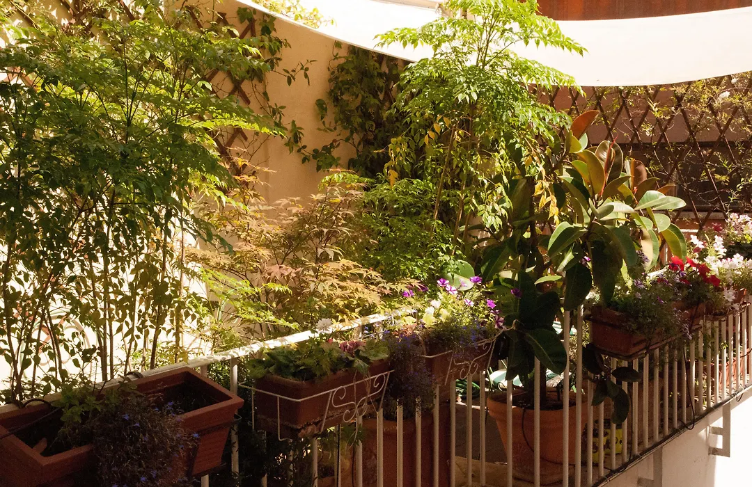 Relais Teatro Argentina-1