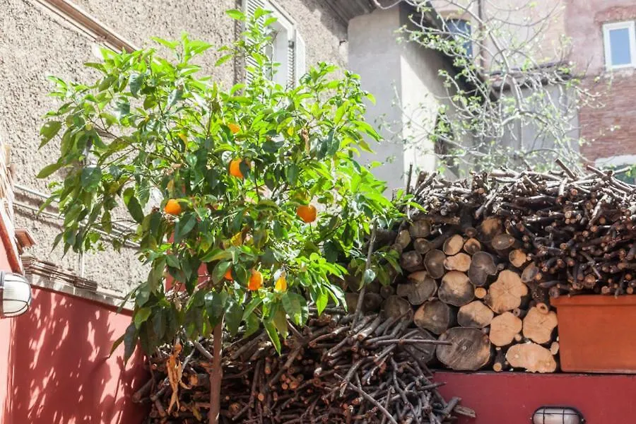Monti Garden-1