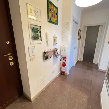 B&B Birba-3
