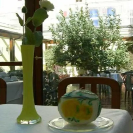 Hotel Select Garden-3